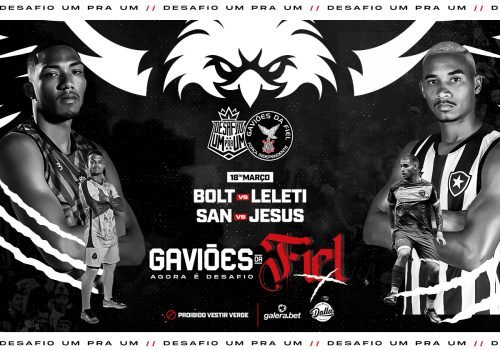 Gavioes